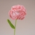 扭扭棒康乃馨鬱金香花束