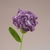扭扭棒康乃馨鬱金香花束