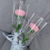扭扭棒康乃馨花束